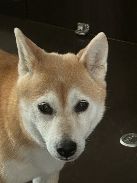 右