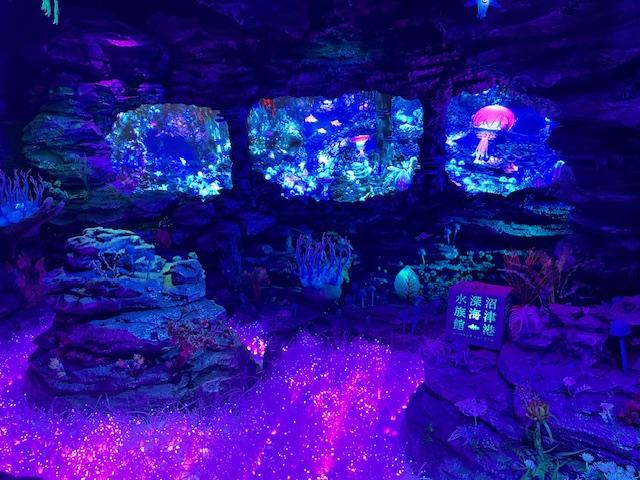 沼津港深海水族館